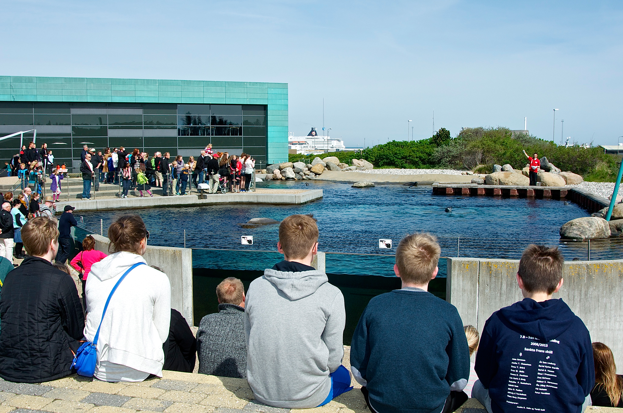 Nordeuropas akvarium ligger i en lille dansk fiskerby | ScienceBlog
